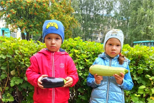 "О пользе овощей"