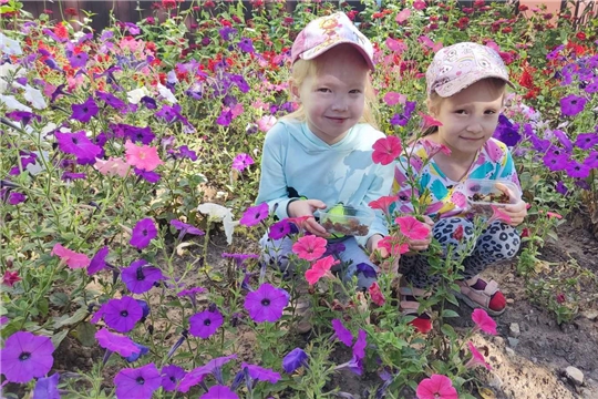 В рамках Года экологической культуры и бережного природопользования...