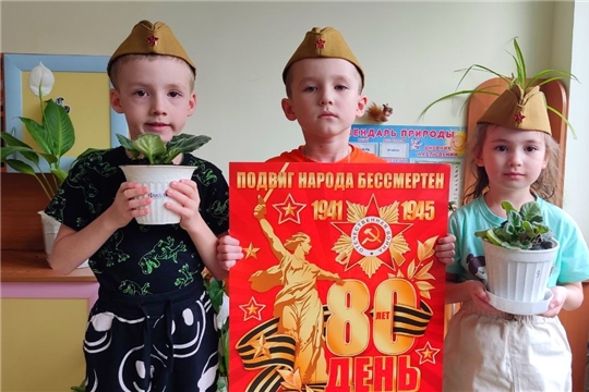 Социально-патриотическая акция "Цветок ветерану"
