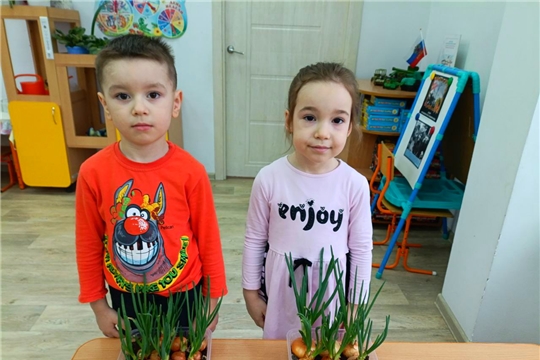 В рамках муниципального проекта "Здоровые дети -счастливые родители" дошкольники принимают участие в тематических проектах «Лук -зеленый друг».