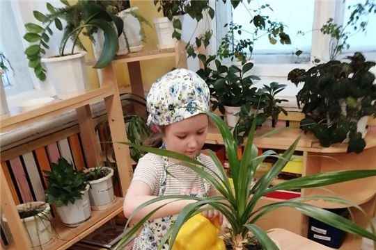 Работа в уголке природы