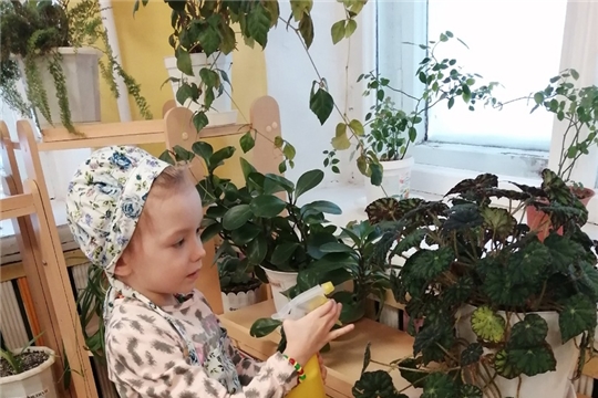 Мир комнатных растений