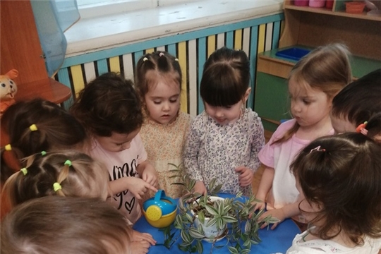 Малыши ухаживают за комнатными растениями