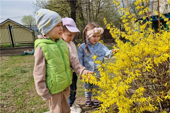 Пробуждение природы