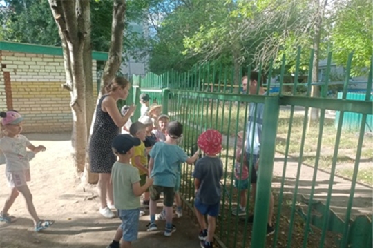 Осторожно незнакомец!