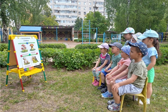 Съедобные и несъедобные грибы