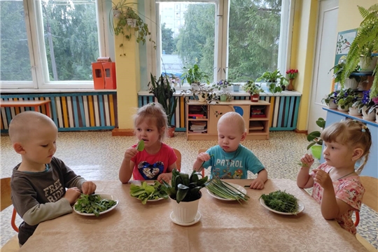 Зелень едим, быть здоровыми хотим