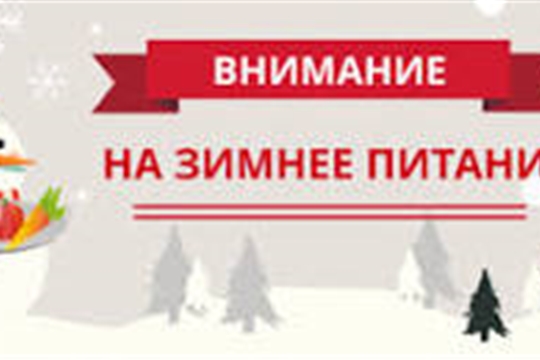 Рекомендации о правильном питании зимой