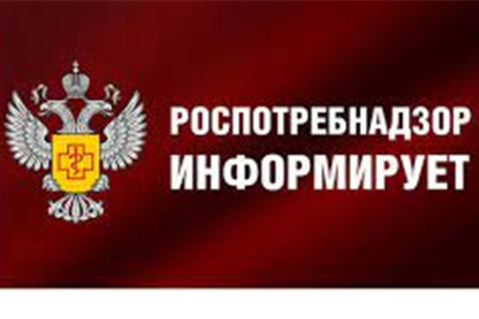 Управление Роспотребнадзора по Чувашской Республике - Чувашии проводит горячую линию по вопросам качества и безопасности детских товаров к Новому году