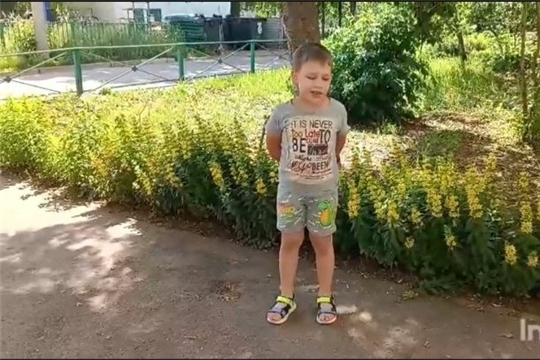 Городская акция "Улицы моего города»