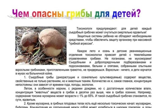 Чем опасны грибы для детей