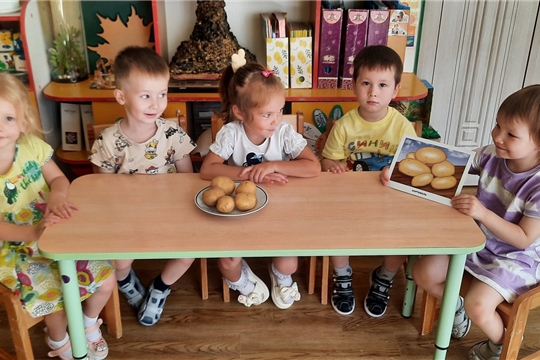 О пользе картофеля