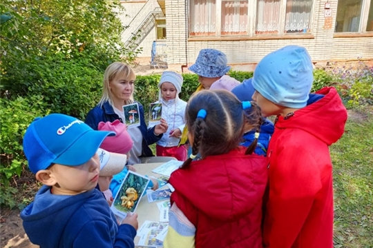 Осторожно, ядовитые грибы!