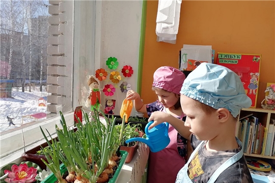 Огород на подоконнике