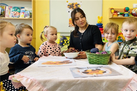 Польза сухофруктов для детского питания