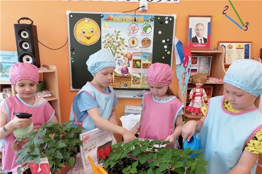 Реализация проекта "Огород на подоконнике" в детском саду
