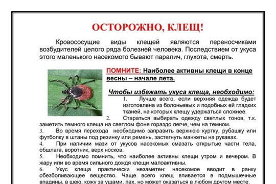Осторожно, клещи!