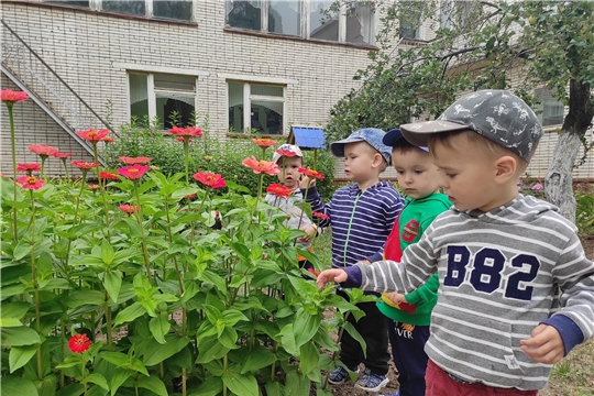 Малыши группы "Веселые ребята" очень любят прогулки