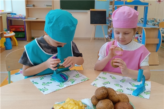 Картофель - польза или вред?