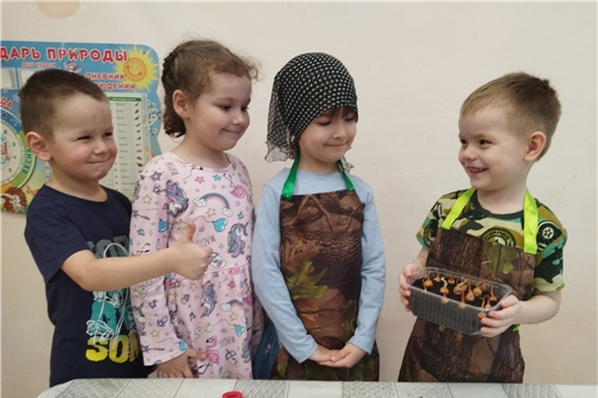 Огород на подоконнике