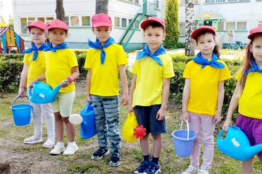 Организация работы с детьми на огороде летом