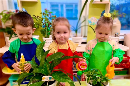 Уход за комнатными растениями