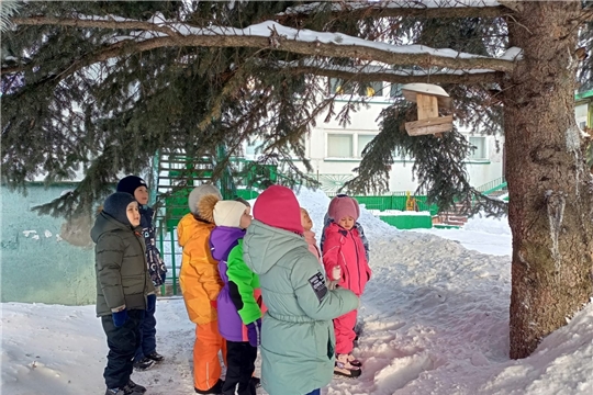 Год экологической культуры "Акция, покормите птиц"