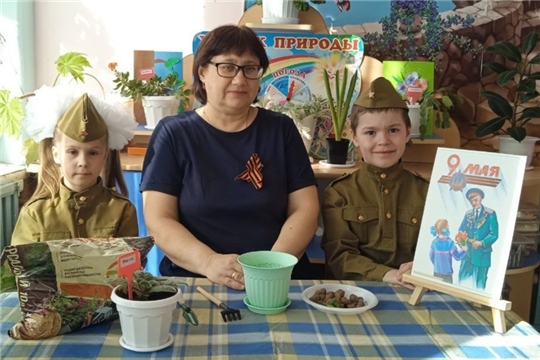 Городская акция "Цветок ветерану"