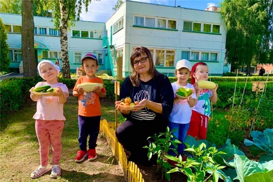 Собираем урожай!