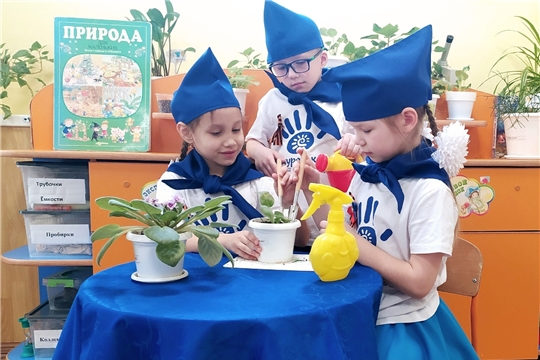 Городская акция "Цветок ветерану"