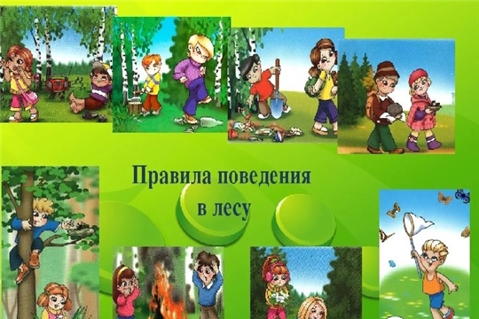 "Безопасное поведение в лесу, на даче"