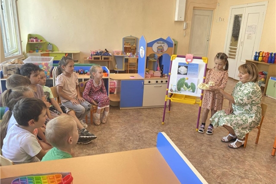 Польза брокколи и цветной капусты для организма вашего ребенка