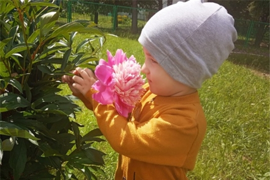 Любителей природы