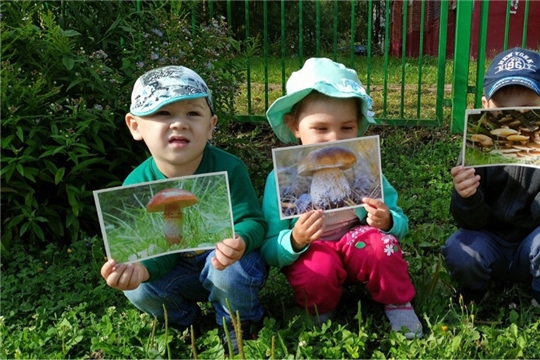 Грибы съедобные и несъедобные