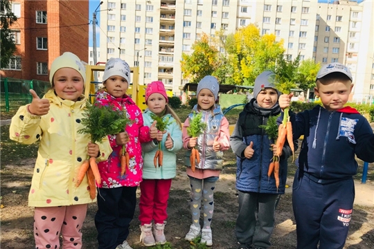 «Сбор урожая» 