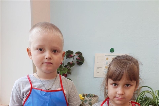 "Организация дежурства в уголке природы"