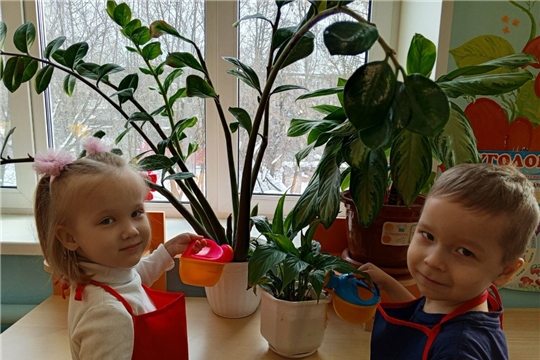 Уход за комнатными растениями.