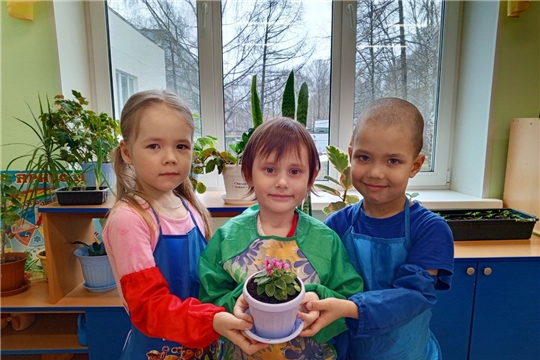 Цветок ветерану.