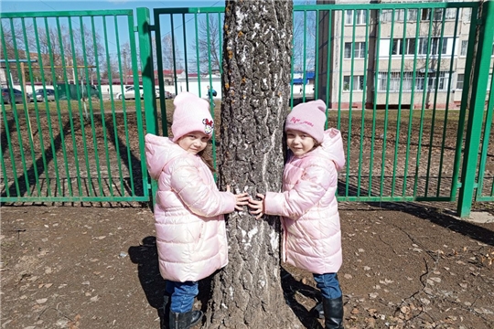 День берёзы.