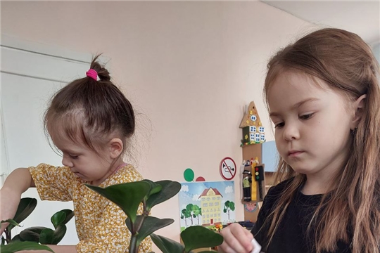 Дежурство в уголке природы