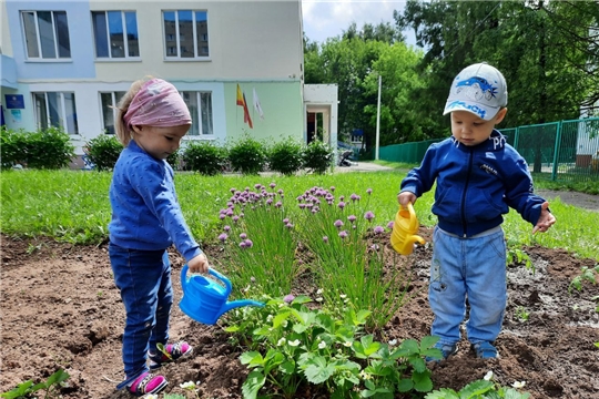 Поливаем грядки.