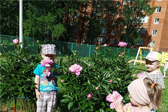 Наблюдение за цветами.