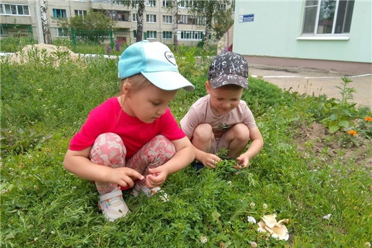 Осторожно,грибы!