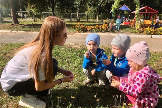Наблюдение за одуванчиками