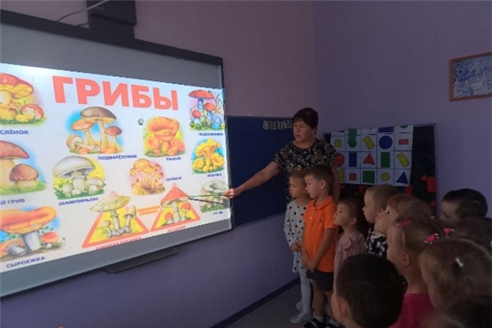 Осторожно, ядовитые грибы!