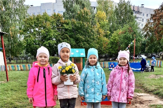 Уход за цветами
