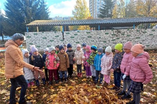 Что опасного кроется в опавшей листве?