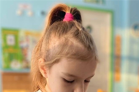 Еловые веточки к Новому году
