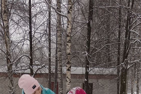 "Железное" обморожение