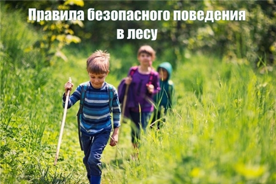 Безопасный отдых в лесу.